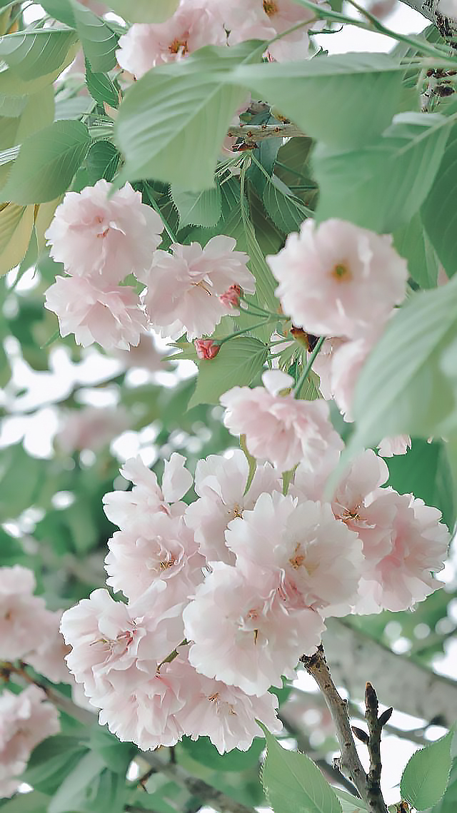 郝媛媛-2.jpg 郝媛媛-2.jpg